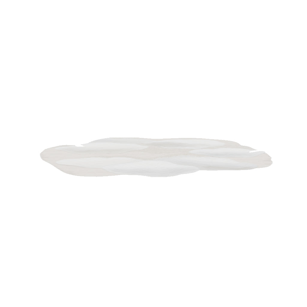 Nuage Rug, 3D model at true size (9x13 ft)