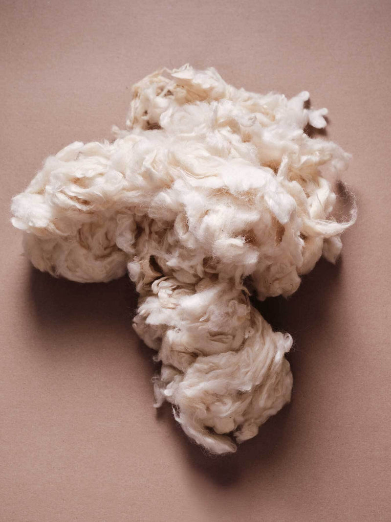 New Zealand Wool